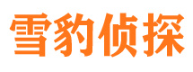 新干市侦探调查公司